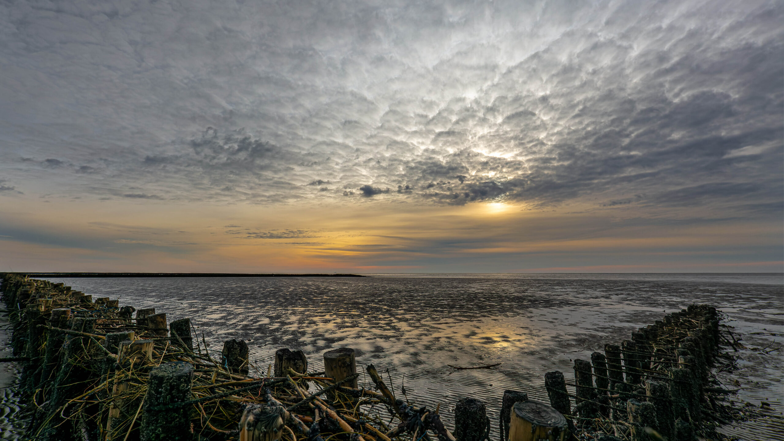 Landschaft_1