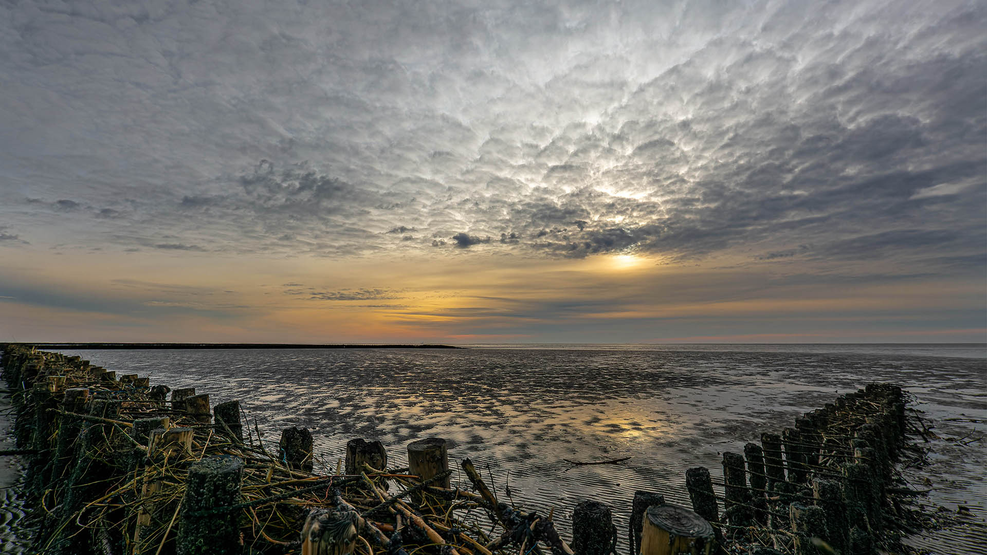 Landschaft_1